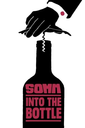Somm: Into the Bottle watch Somm: Into the Bottle