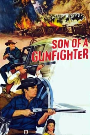 watch Son of a Gunfighter