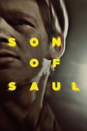 Son of Saul watch Son of Saul