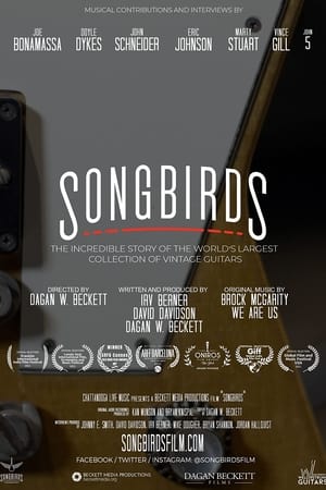 Songbirds watch Songbirds