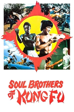 Soul Brothers of Kung Fu watch Soul Brothers of Kung Fu