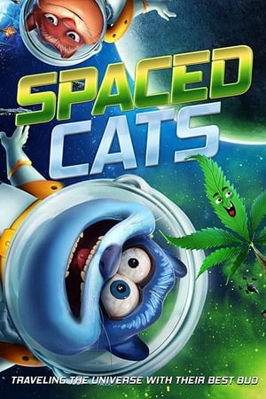 Spaced Cats watch Spaced Cats
