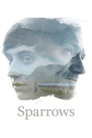 Sparrows watch Sparrows