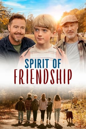 watch Spirit of Friendship
