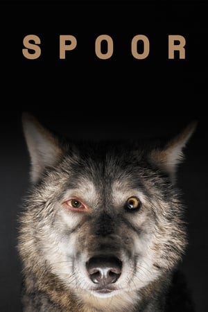 Spoor watch Spoor