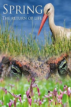 watch Spring: The Return of Life