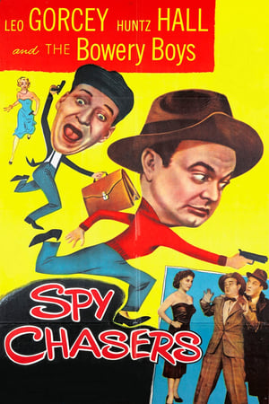 watch Spy Chasers