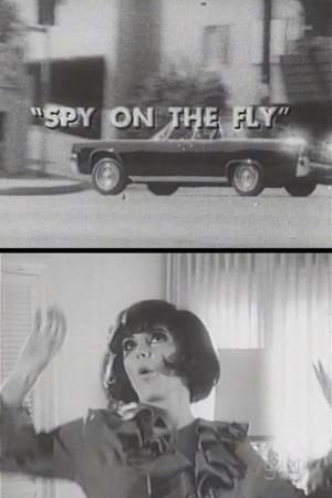 watch Spy on the Fly