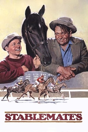 Stablemates watch Stablemates