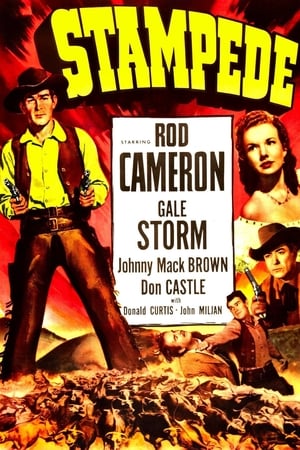 Stampede watch Stampede