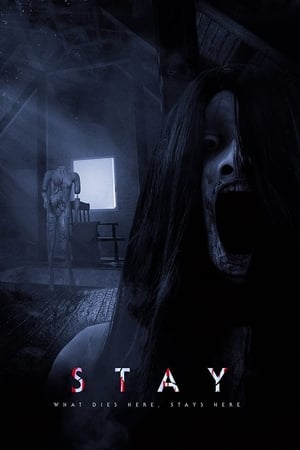 Stay watch Stay
