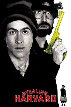 watch Stealing Harvard
