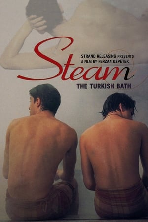 Steam: The Turkish Bath watch Steam: The Turkish Bath