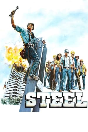 Steel watch Steel