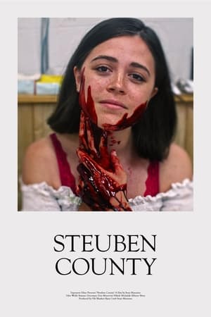 watch Steuben County