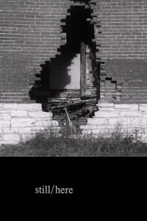 still/here watch still/here