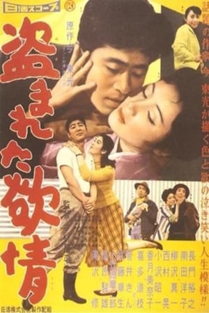 watch Stolen Desire