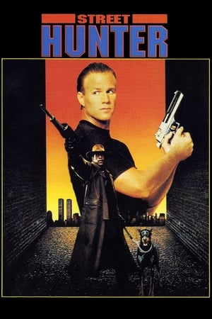 watch Street Hunter