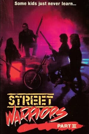 watch Street Warriors II