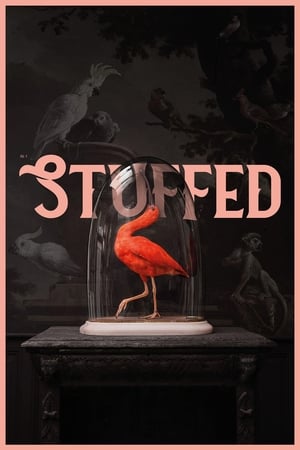 Stuffed watch Stuffed