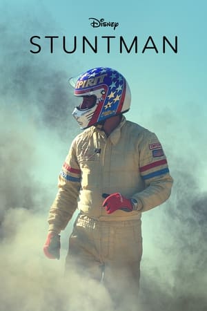 watch Stuntman