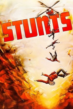 Stunts watch Stunts