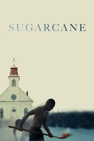 watch Sugarcane