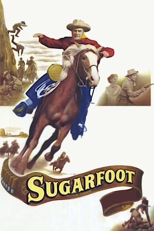 Sugarfoot watch Sugarfoot