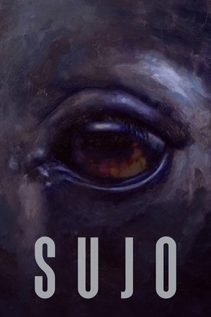 Sujo watch Sujo