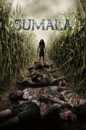 Sumala watch Sumala