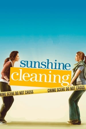 Sunshine Cleaning watch Sunshine Cleaning