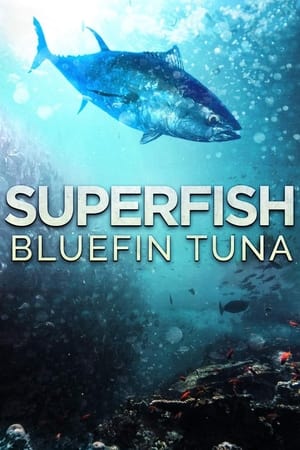 Superfish: Bluefin Tuna watch Superfish: Bluefin Tuna