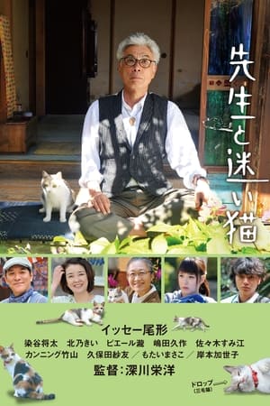 Teacher and Stray Cat watch Teacher and Stray Cat