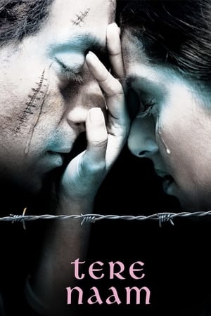 watch Tere Naam
