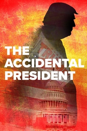 The Accidental President watch The Accidental President
