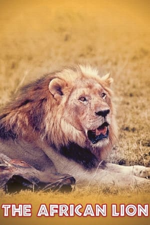 The African Lion watch The African Lion