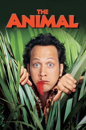 The Animal watch The Animal