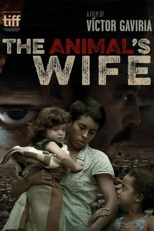 watch The Animal's Wife