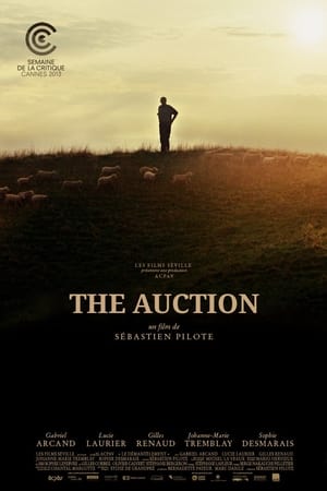 The Auction watch The Auction