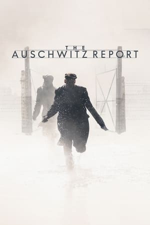 The Auschwitz Report watch The Auschwitz Report