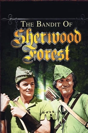 watch The Bandit of Sherwood Forest