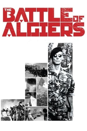 watch The Battle of Algiers