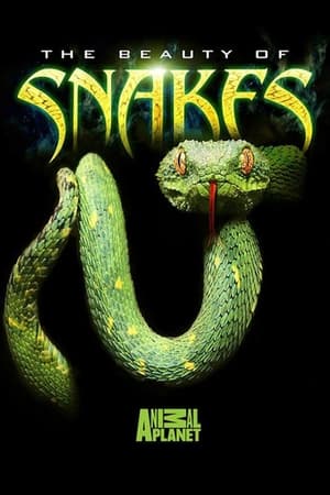 watch The Beauty of Snakes