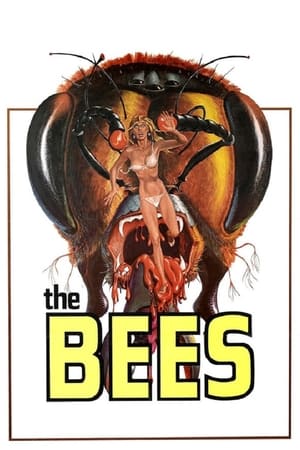 The Bees watch The Bees