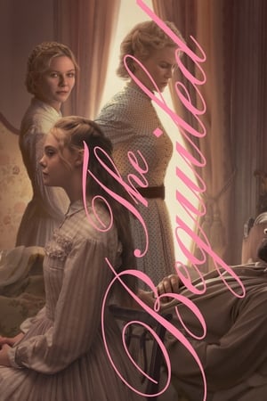 watch The Beguiled
