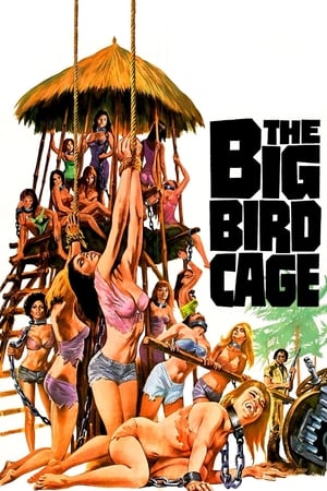 The Big Bird Cage watch The Big Bird Cage