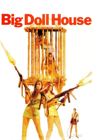 watch The Big Doll House