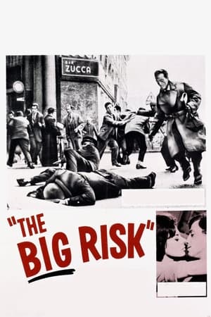 The Big Risk watch The Big Risk