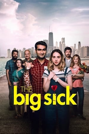 The Big Sick watch The Big Sick