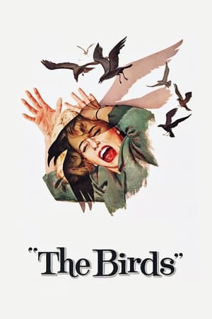 The Birds watch The Birds